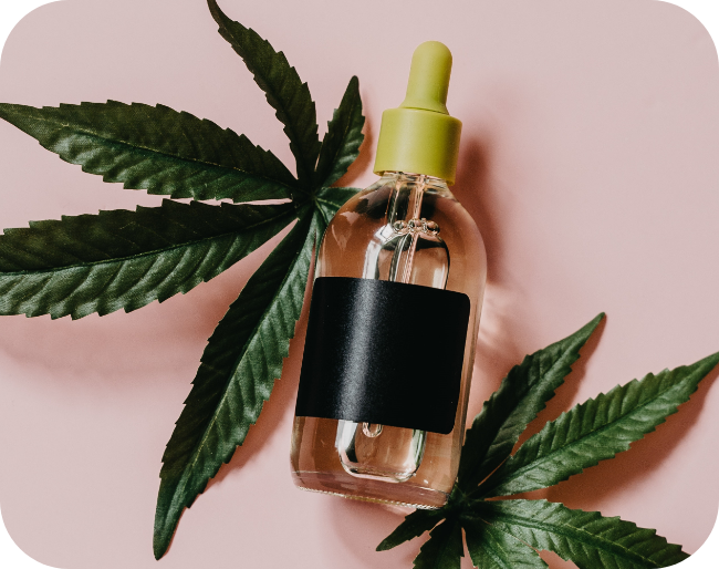 VAPS CONCEPT CBD Angers H2 Bloc2 VAPS CONCEPT CBD Angers H2 Bloc2